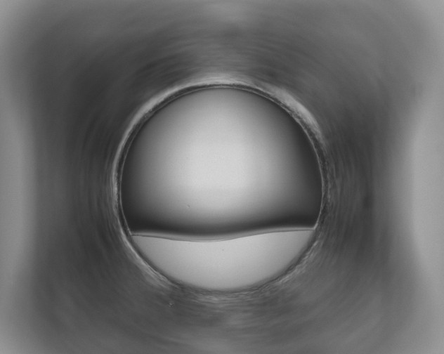 X0000112531380200908171136