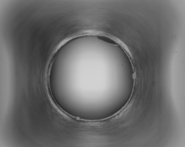 X0000112531381200908171136