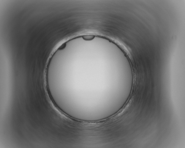 X0000112531382200908171136