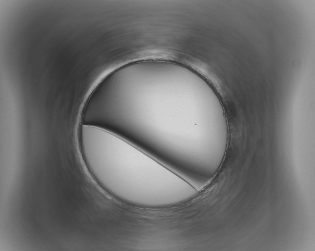 X0000112531383200908171136