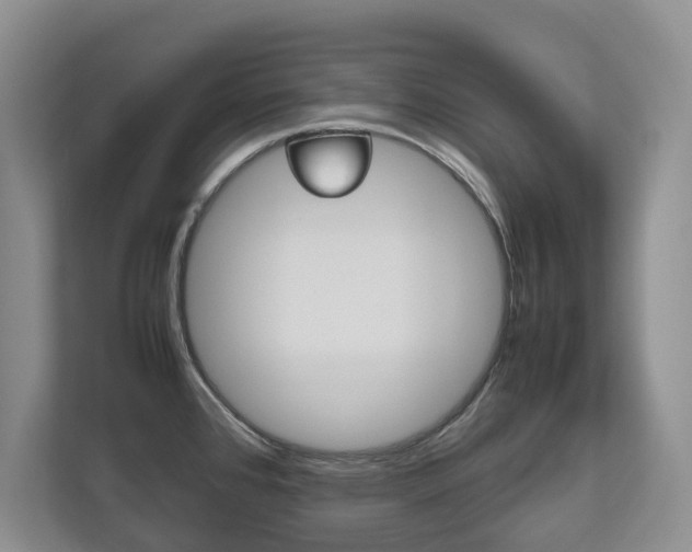 X0000112531384200908171136