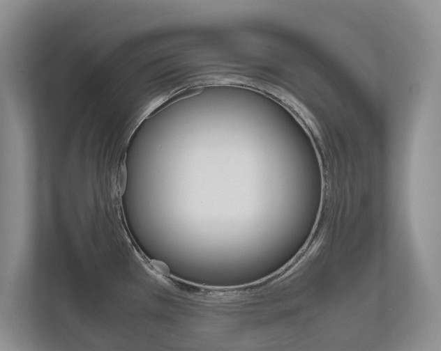 X0000112531385200908171136