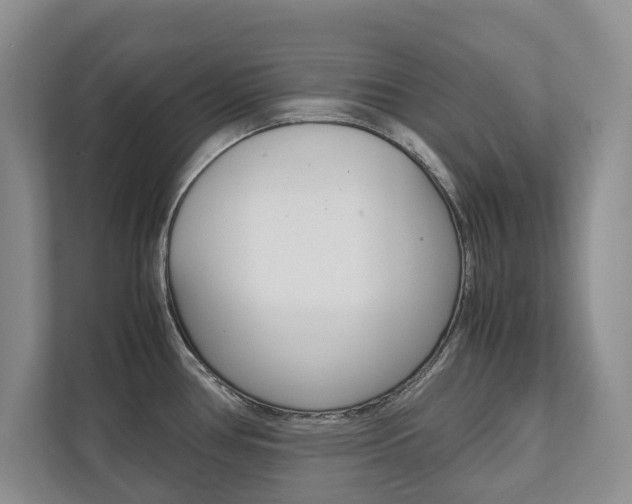 X0000112531386200908171136