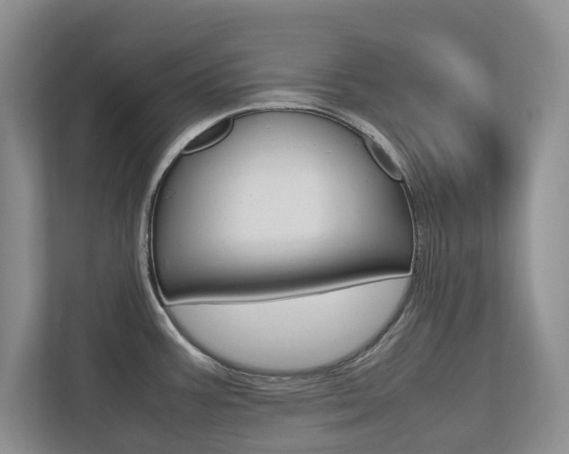 X0000112531387200908171136