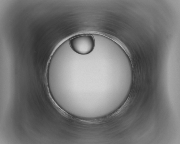 X0000112531388200908171136