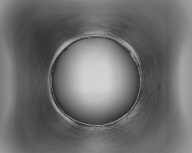 X0000112531389200908171136