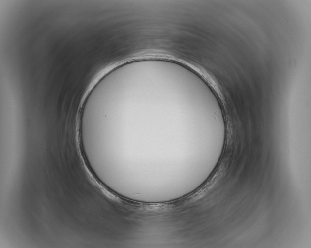 X0000112531390200908171136
