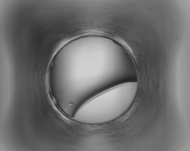 X0000112531391200908171136