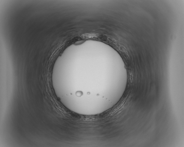 X0000112531393200908171135