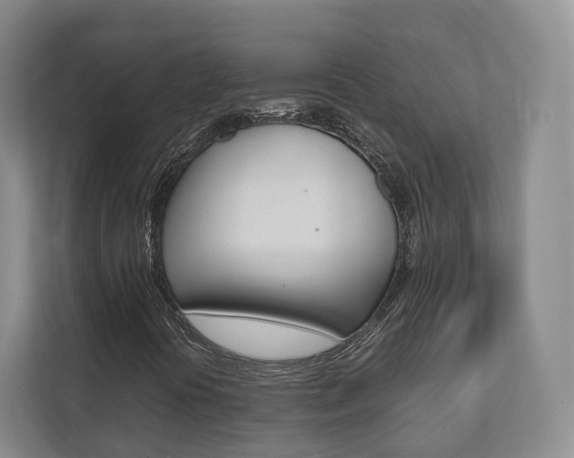 X0000112531394200908171135