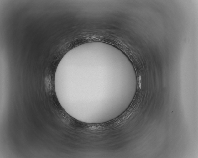 X0000112531395200908171135
