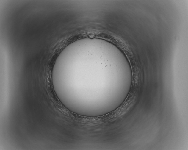 X0000112531397200908171135