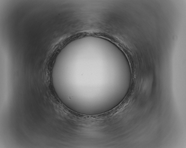X0000112531398200908171135
