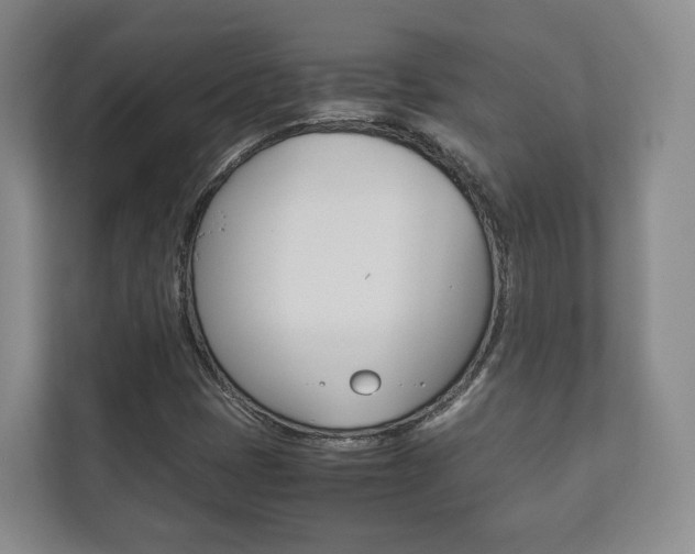 X0000112531401200908171135
