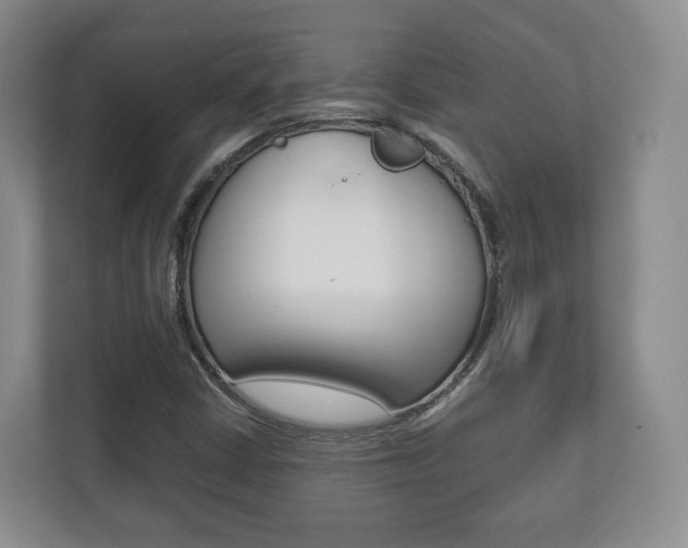 X0000112531402200908171135
