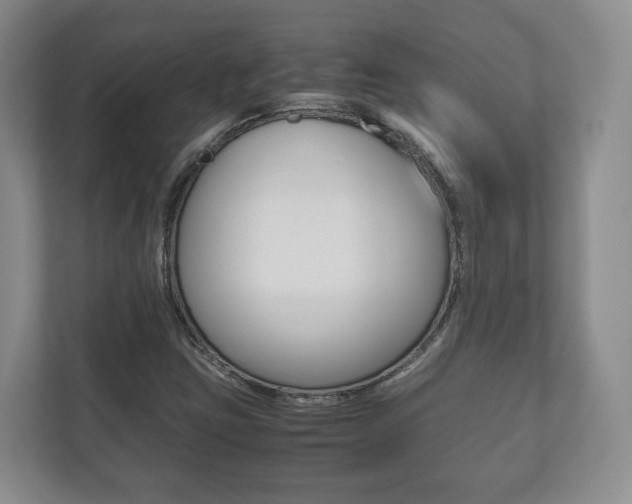 X0000112531403200908171135