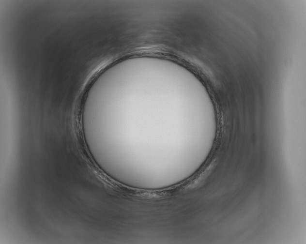 X0000112531405200908171135