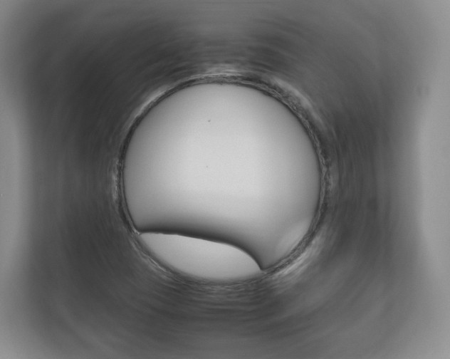 X0000112531409200908171135