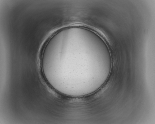 X0000112531414200908171135