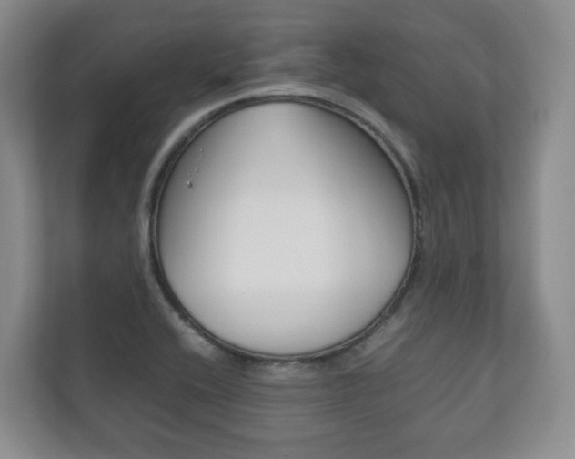 X0000112531416200908171135