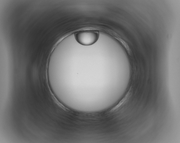 X0000112531417200908171135