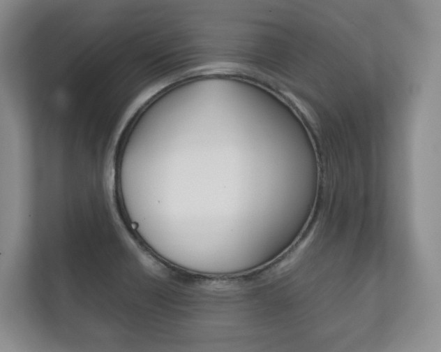 X0000112531418200908171135