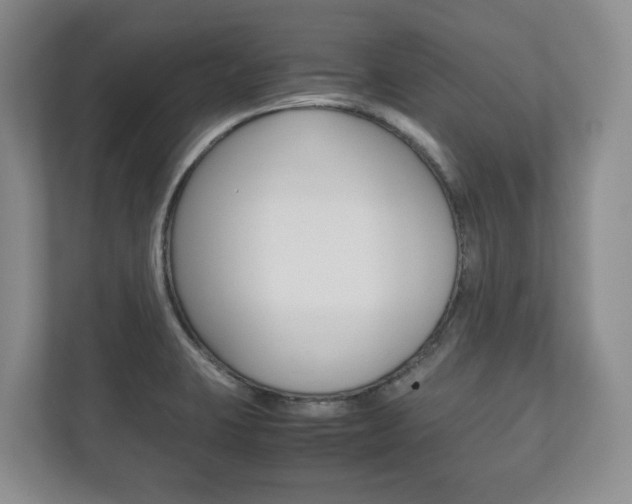X0000112531423200908171135