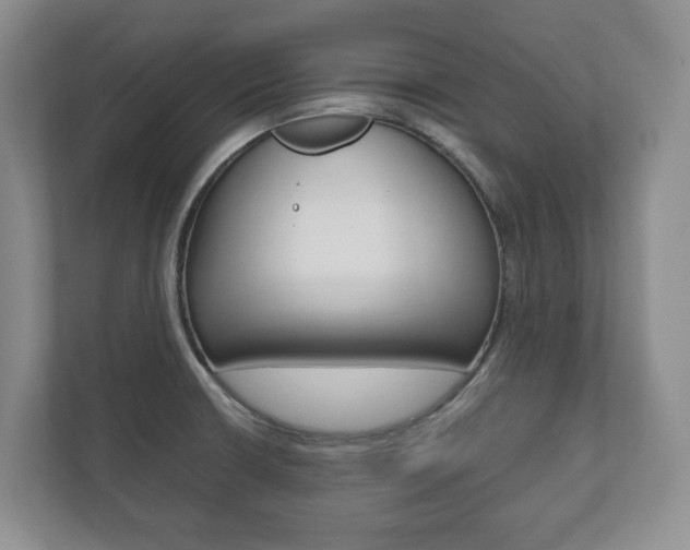 X0000112531426200908171135