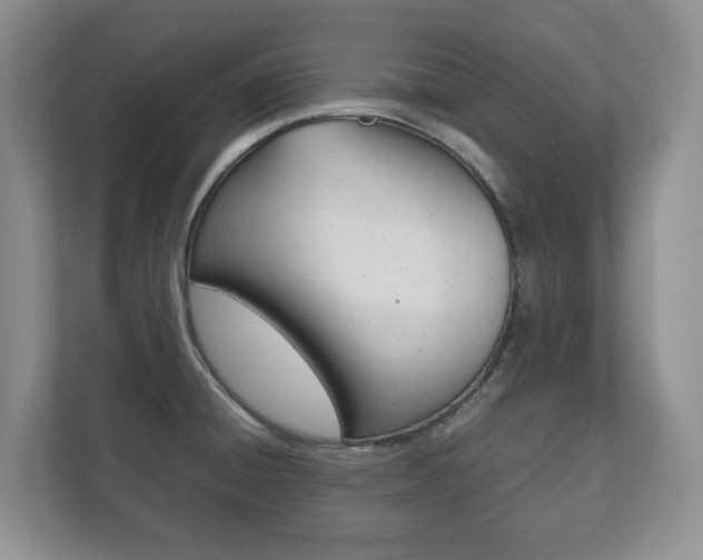 X0000112531428200908171135
