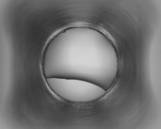X0000112531429200908171135