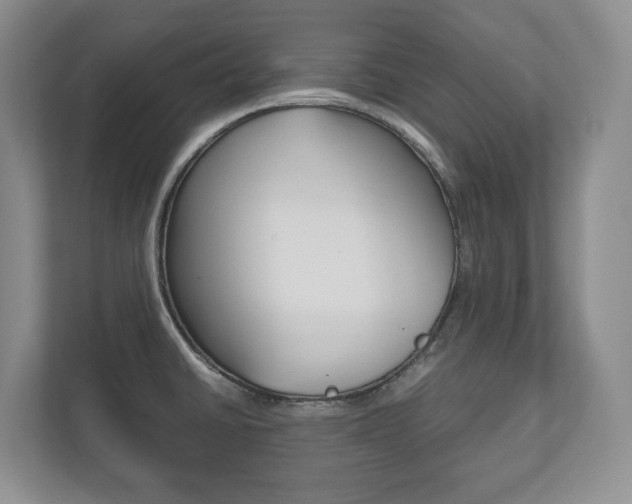 X0000112531430200908171135