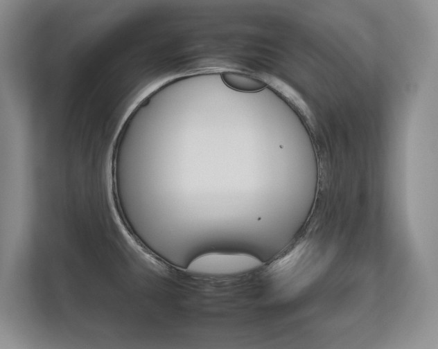 X0000112531431200908171136