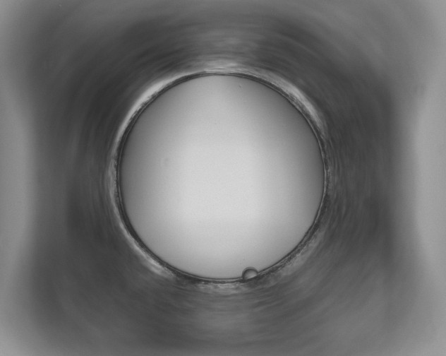 X0000112531432200908171136