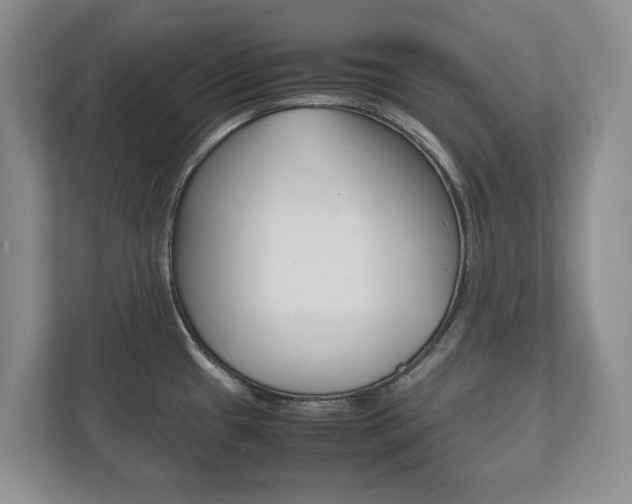 X0000112531433200908171136