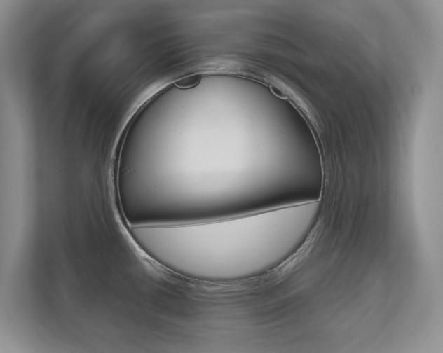 X0000112531434200908171136