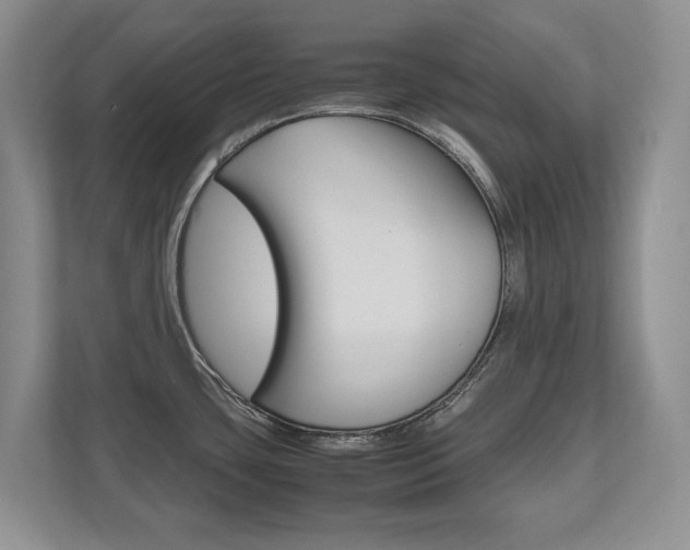 X0000112531435200908171136