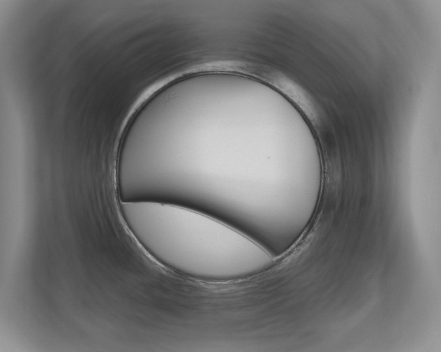 X0000112531436200908171136