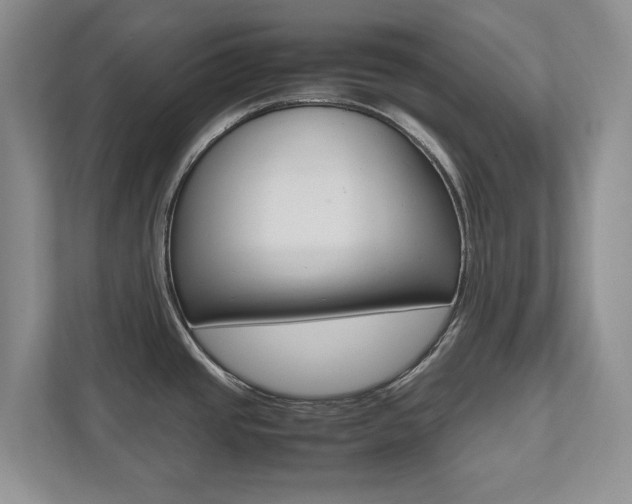 X0000112531437200908171136