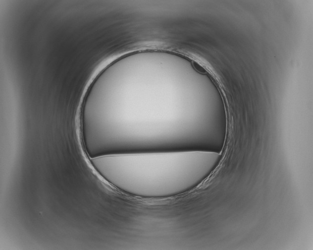 X0000112531440200908171136
