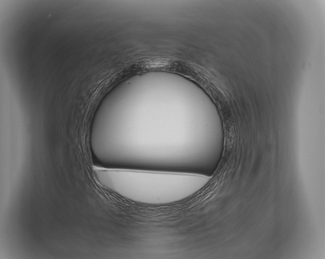 X0000112531441200908171135