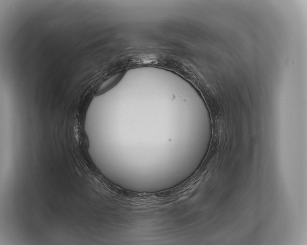 X0000112531442200908171135