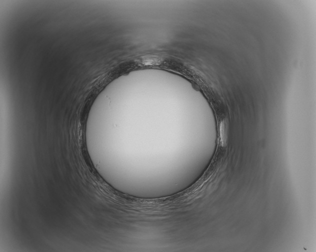 X0000112531443200908171135
