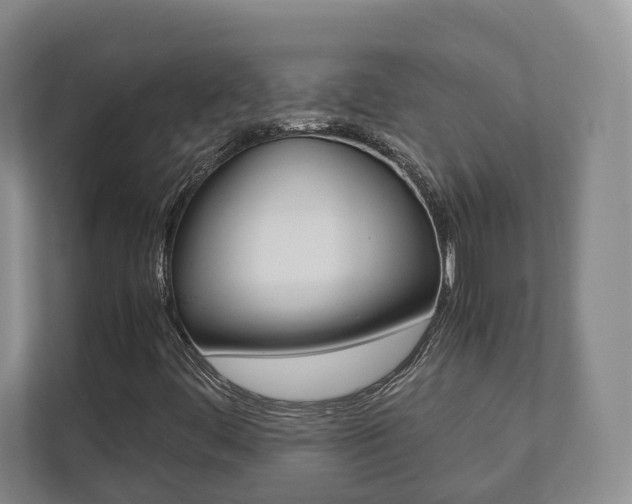 X0000112531444200908171135
