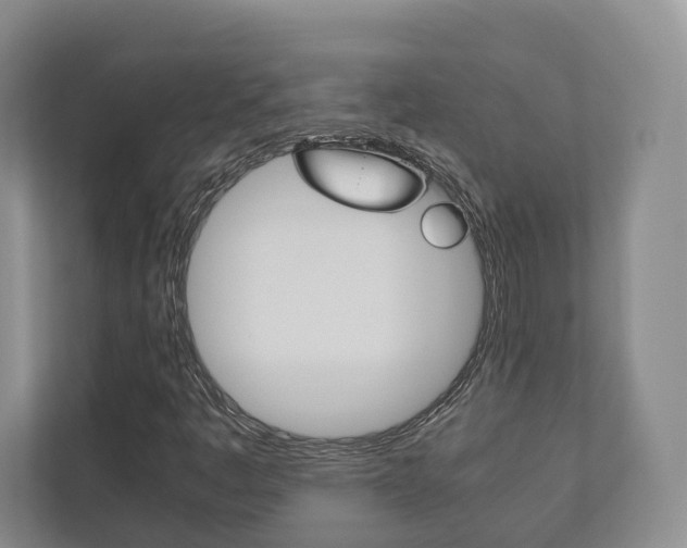 X0000112531445200908171135
