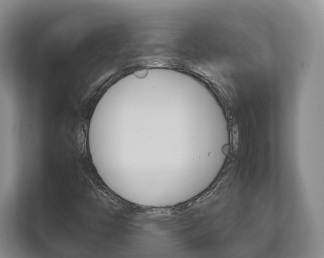 X0000112531446200908171135