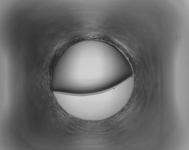 X0000112531447200908171135