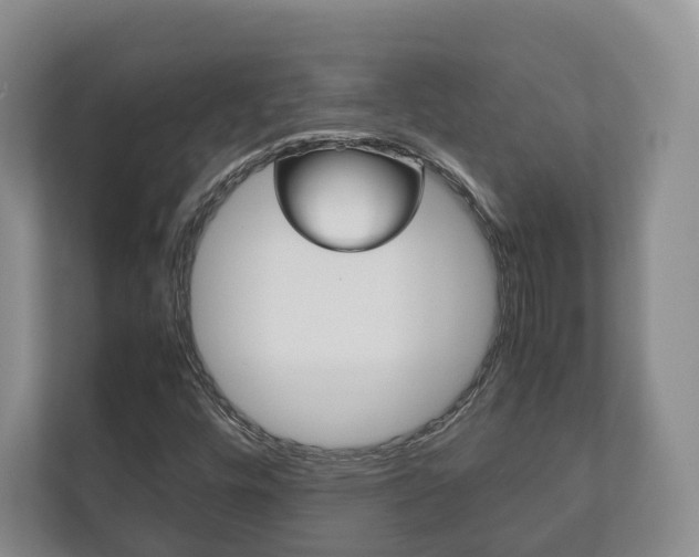 X0000112531448200908171135