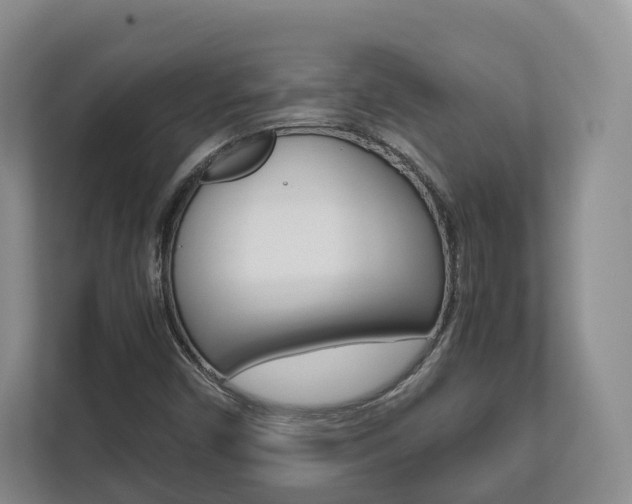 X0000112531450200908171135