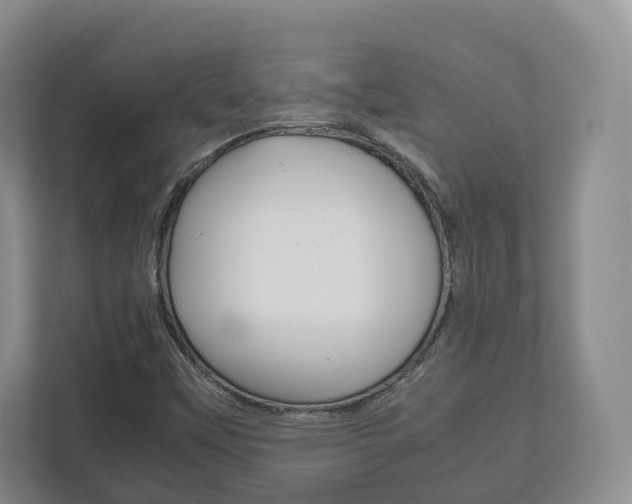 X0000112531451200908171135