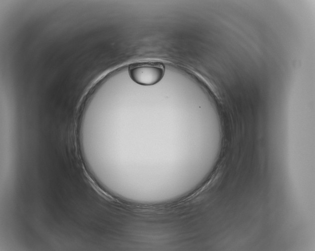 X0000112531452200908171135